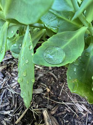 Skylar Dawns Home Build