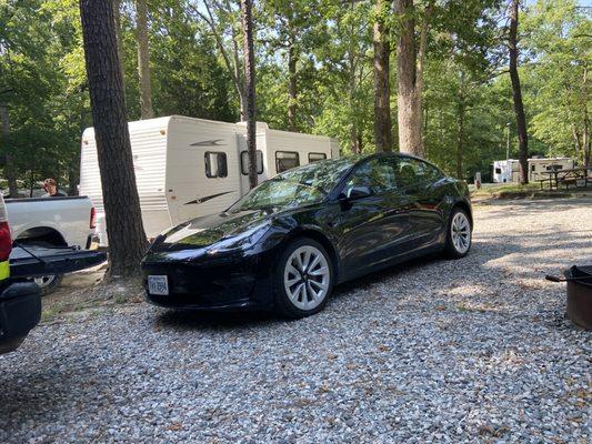 Peninsula Auto Glass