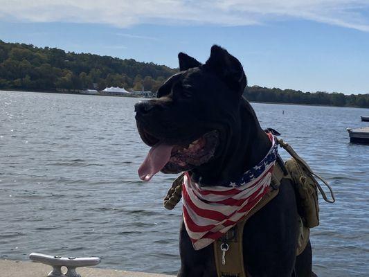 JTM boxers play and stay