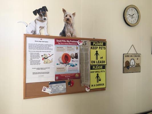 Silver Spring Animal Hospital