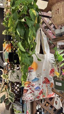 Sagebrush Plus Saguaro