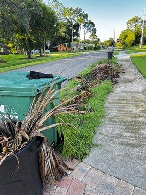 Six weeks and I'm still trying to pick this all up. I have no truck to bring it to the dump.