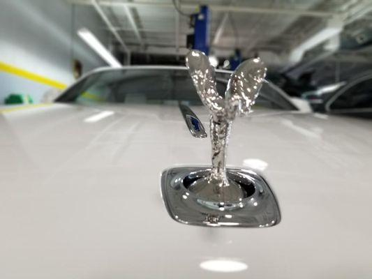 Authentic Vinyl Wrap