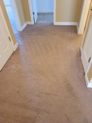 Get Kleen Carpet Cleaning