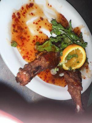 Duck Wings. Lucky I stopped inhaling them to get a quick pic. DELICIOUS