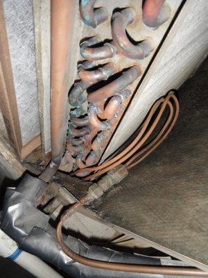 The Pines Apartments