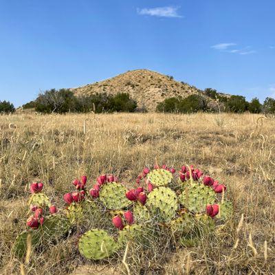 Colorado Burial Preserve