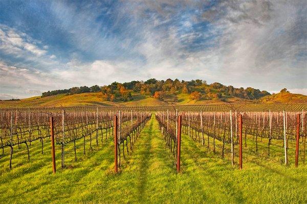 Sonoma Fine Photography