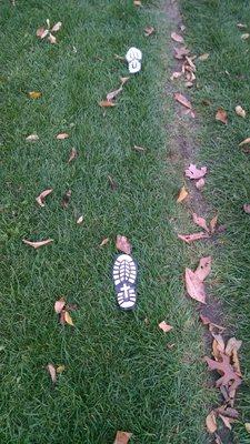 Oakwood Cemetery Assn