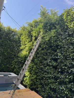 Lopez Gardening And Tree Service