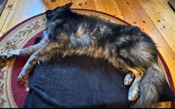 Getting a treatment with Dr. Cianelli :)