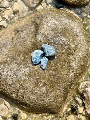 Found these beauties this summer