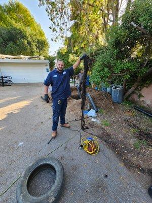 Got Roots in the sewer pipe? Give us a call 818-331-5842 #sewerlinereplacement