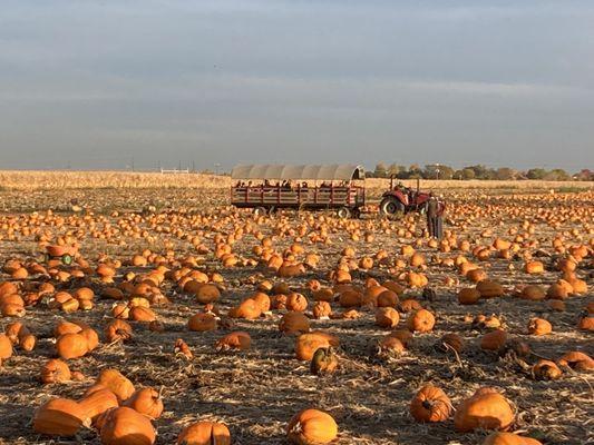 Lowe Family Farmstead