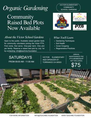 Community Youth Garden