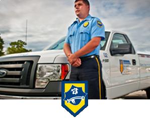 DSI Security Services