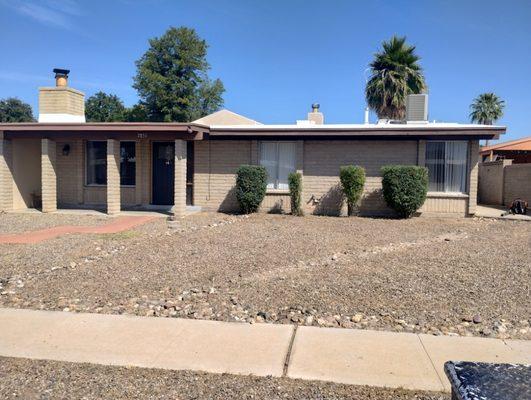 Big Ants Landscaping