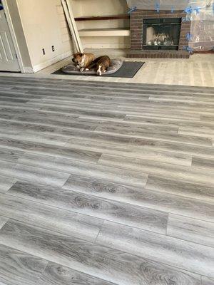 Creative Floor Covering