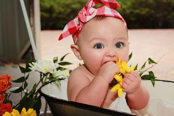 Rebecca's Little Ones