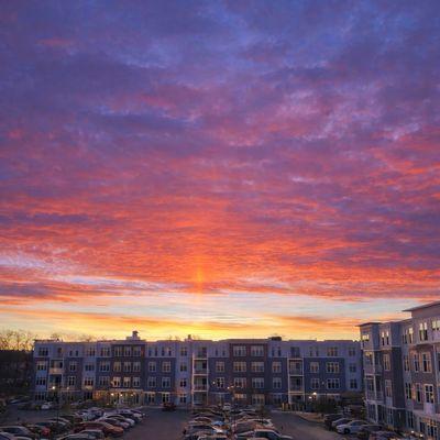 The Buckley at sunrise