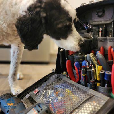 Dynamic Appliance Repair