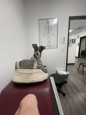 Zarrabi Chiropractic Center