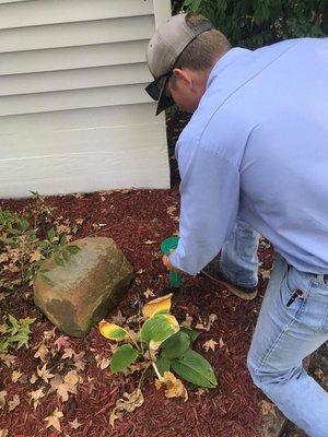Plank Termite and Pest Control LLC