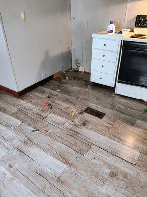 Clean bee's cleaning service