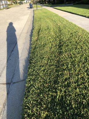 Arthur Rutenberg Homes