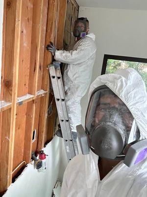 Demolition of wall contaminate with mold