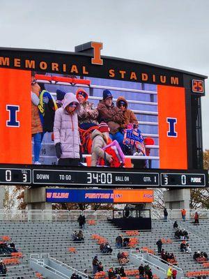 Illinois Fighting Illini Football