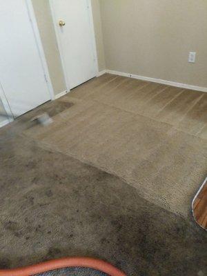 West Valley Carpet & Cleaning Service