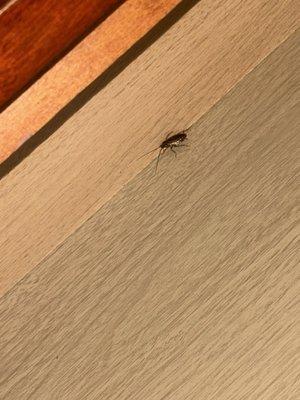 America's Best Inn Eureka