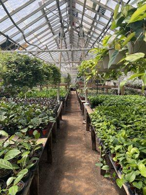 New Utrecht Garden Center