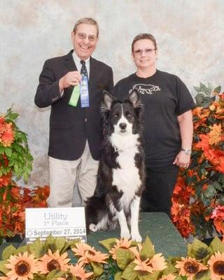 Paw & Hand Obedience