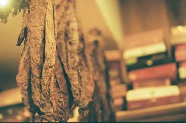 3 Islas Cigar Lounge