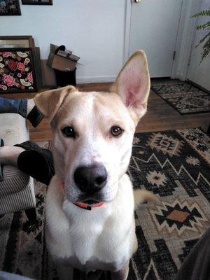 Brian O'Reilly Plumbing Services