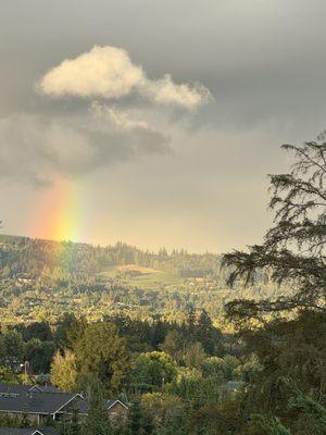 The best rainbows at our Dundee location