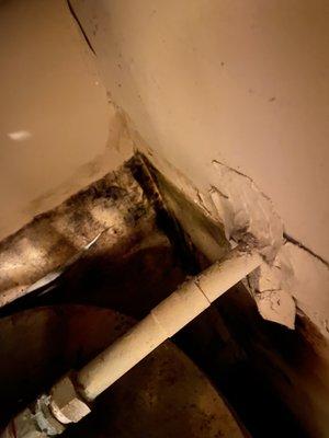 Trails at Dominion Park