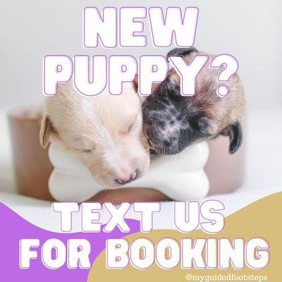 Guided Footsteps Canine Camp