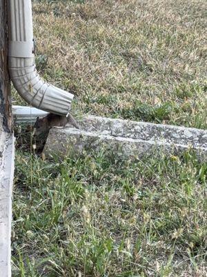 mouse eating something from under the gutters