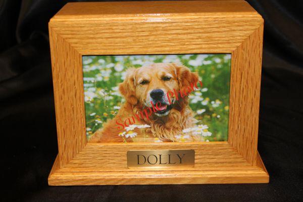 Midlands Pet Care And Pet Rest