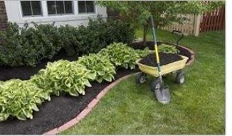 Lawn Wizard Landscaping