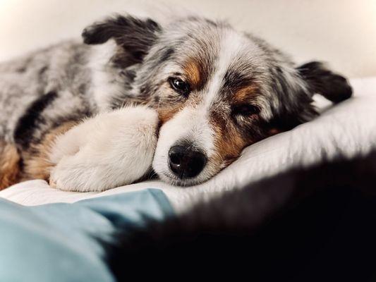 Blue very relaxed and cozy