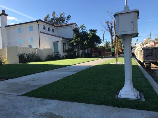 Front Yard and Concrete