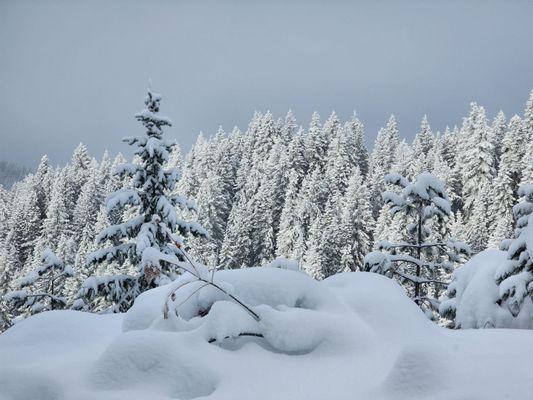 Leavenworth Snowmobile Tours