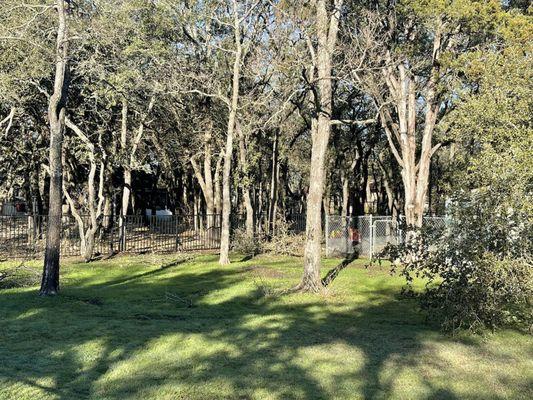 cross cut lawn and pressure washing services