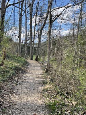 Charter E. Doyle Park