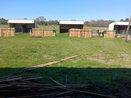 Whitfenex Ranch Horse Boarding & Training