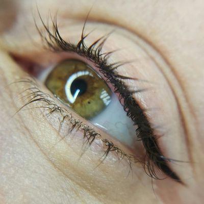 Lash Line Enhancement with a petite wing